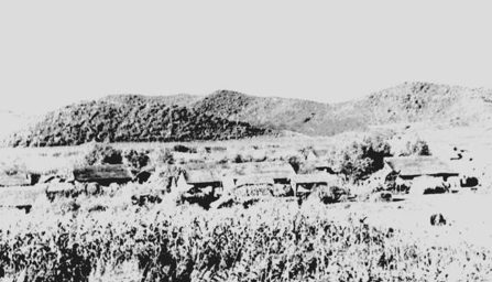 中国·太阳成tyc7111cc(集团)有限公司-官方网站